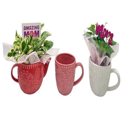Teapot and Teacup Dish Garden